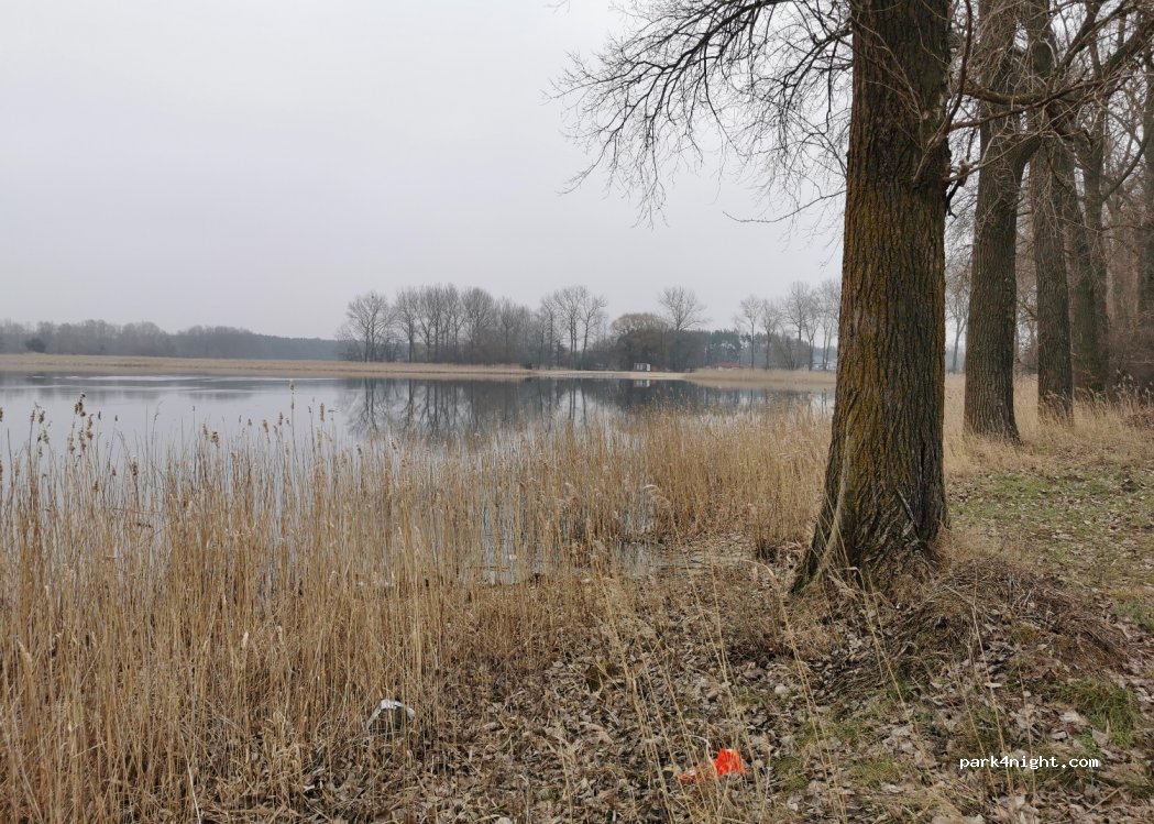 (62-270) Kłecko - 12 Spacerowa — foto 3