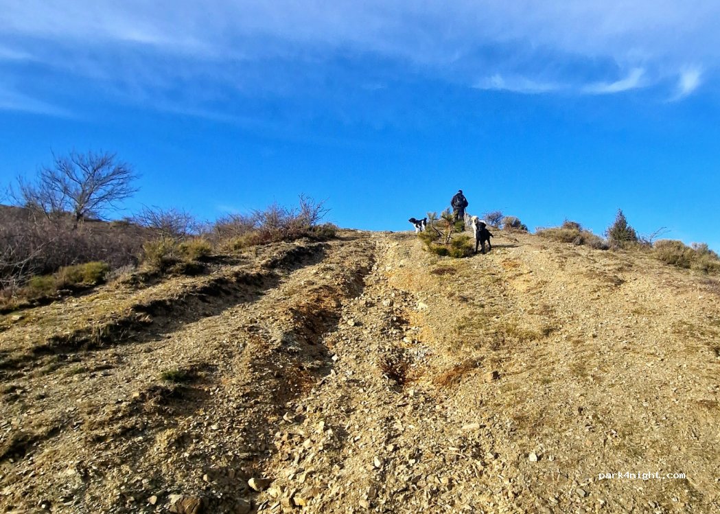(16040) Ne - Strada Provinciale 26 — foto 3