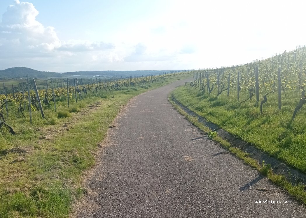 (74360) Ilsfeld - Wildeckstraße — foto 3