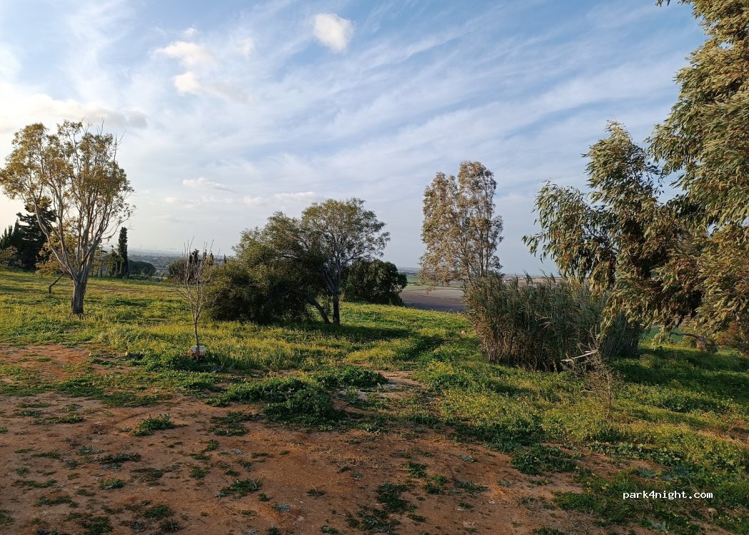 (11130) Chiclana de la Frontera - 244 Diseminado Pago la Espartina — foto