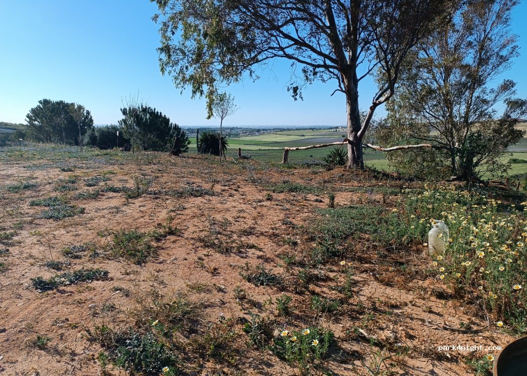 (11130) Chiclana de la Frontera - 244 Diseminado Pago la Espartina — foto 2