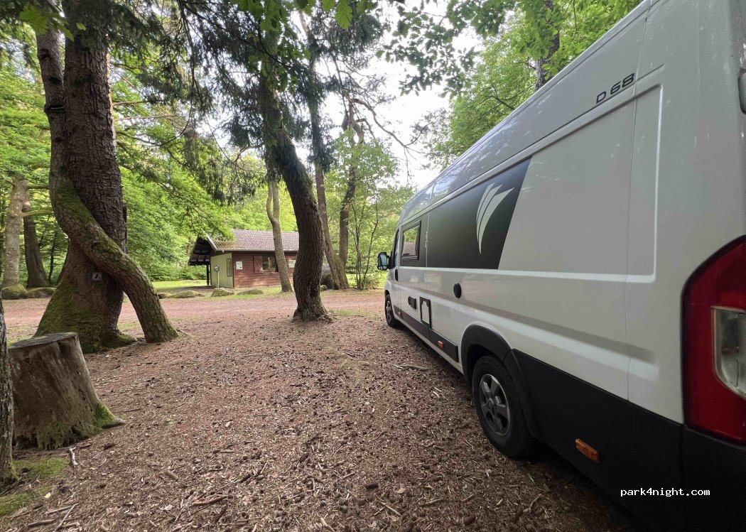 (88200) Saint-Nabord - — foto 5