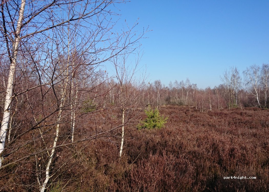(52372) Kreuzau - Unnamed Road — foto