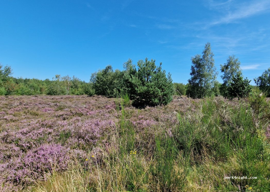 (52372) Kreuzau - Unnamed Road — foto 4