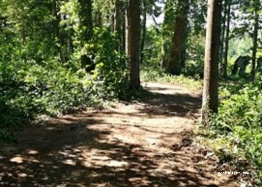 Gitavesnois camping — foto