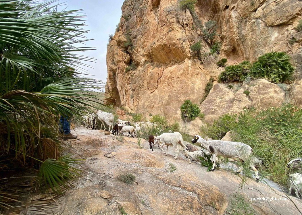 (04639) Turre - — foto 3