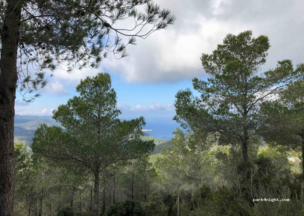 (07810) Sant Llorenç - — foto