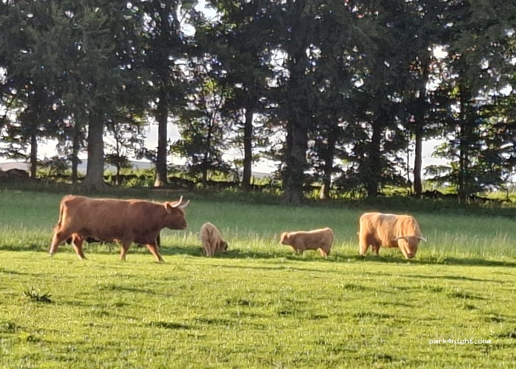 Black Bull Byre — foto 4