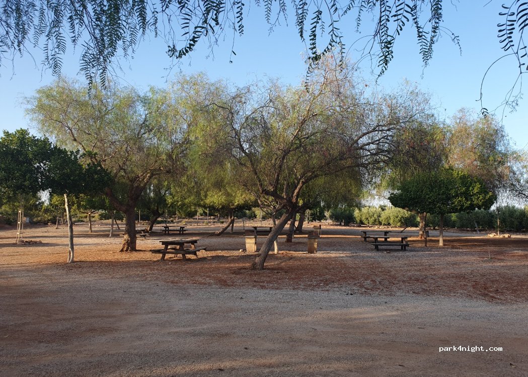 (04629) Aljariz - unnamed road — foto