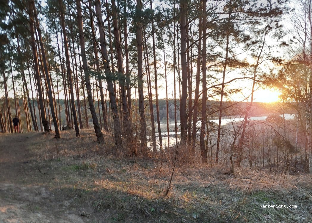 (88-140) Suchatówka - unnamed road — foto 3