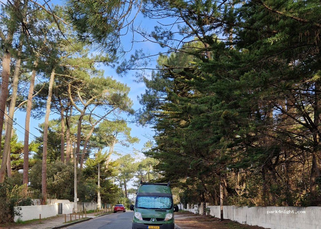 (33115) La Teste-de-Buch - 69 Avenue Louis Gaume — foto 3