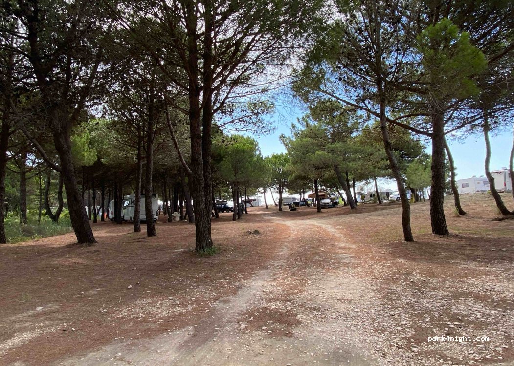 Autokamp Tropicana — foto 2