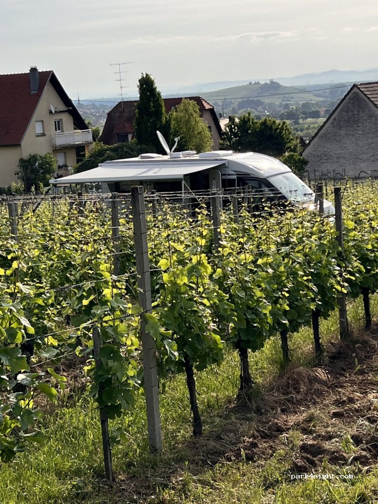 Vins Weck François — foto 5
