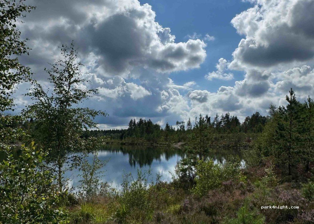 (463 93) Västerlanda - — foto