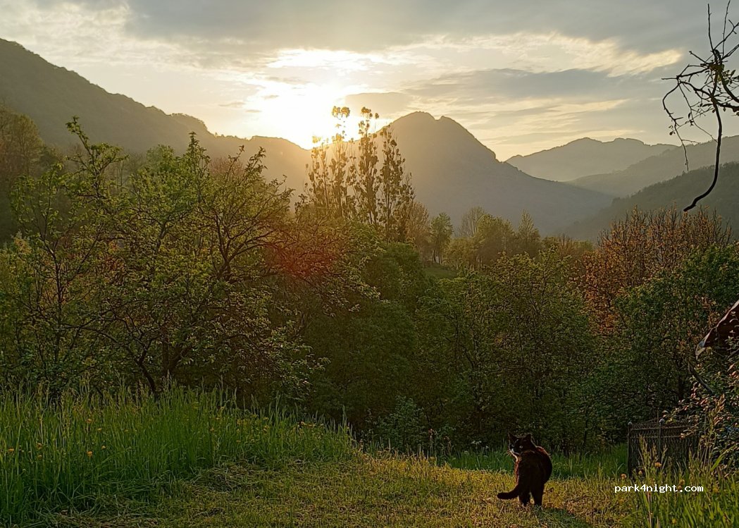 Camping Călătorul — foto 2