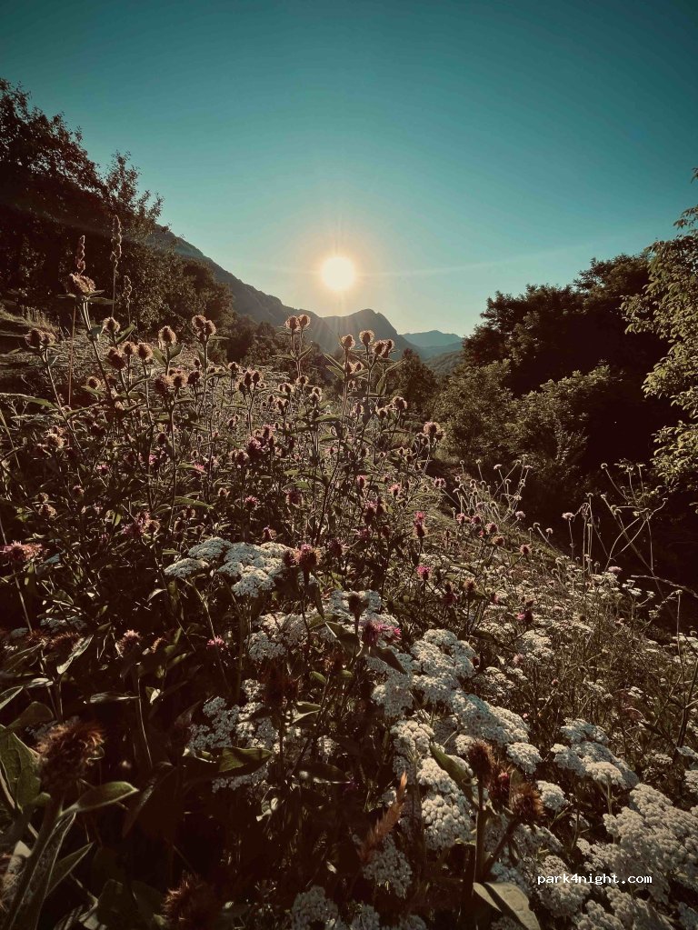 Camping Călătorul — foto 5