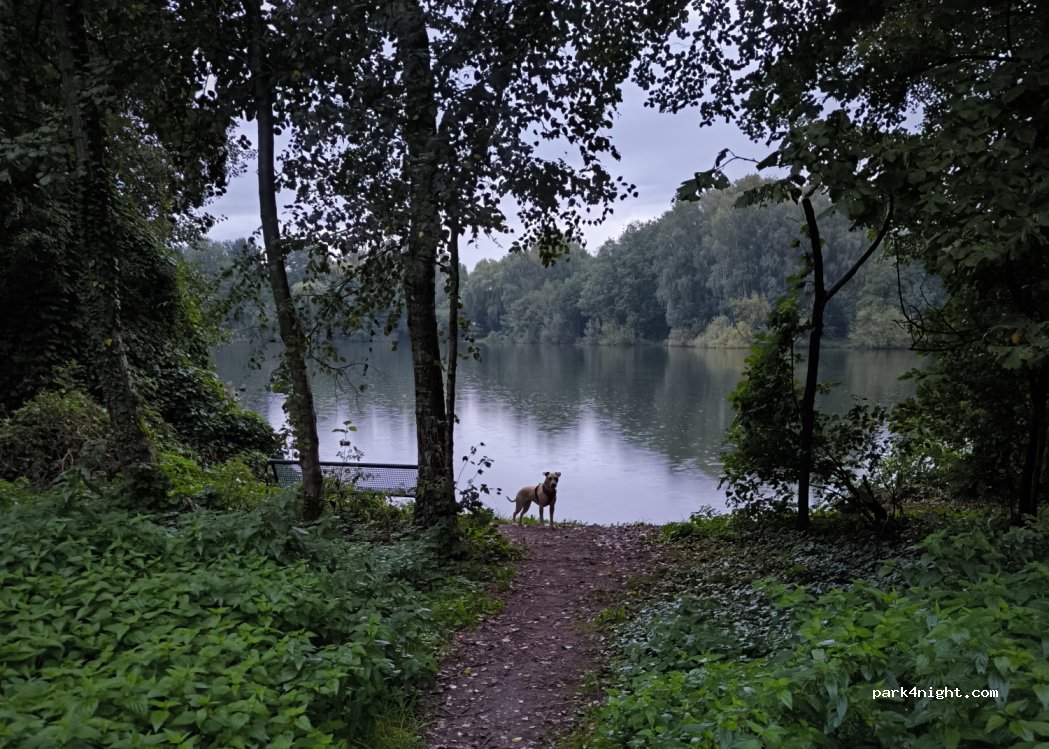 (33415) Verl - 57 Leinenweg — foto 3