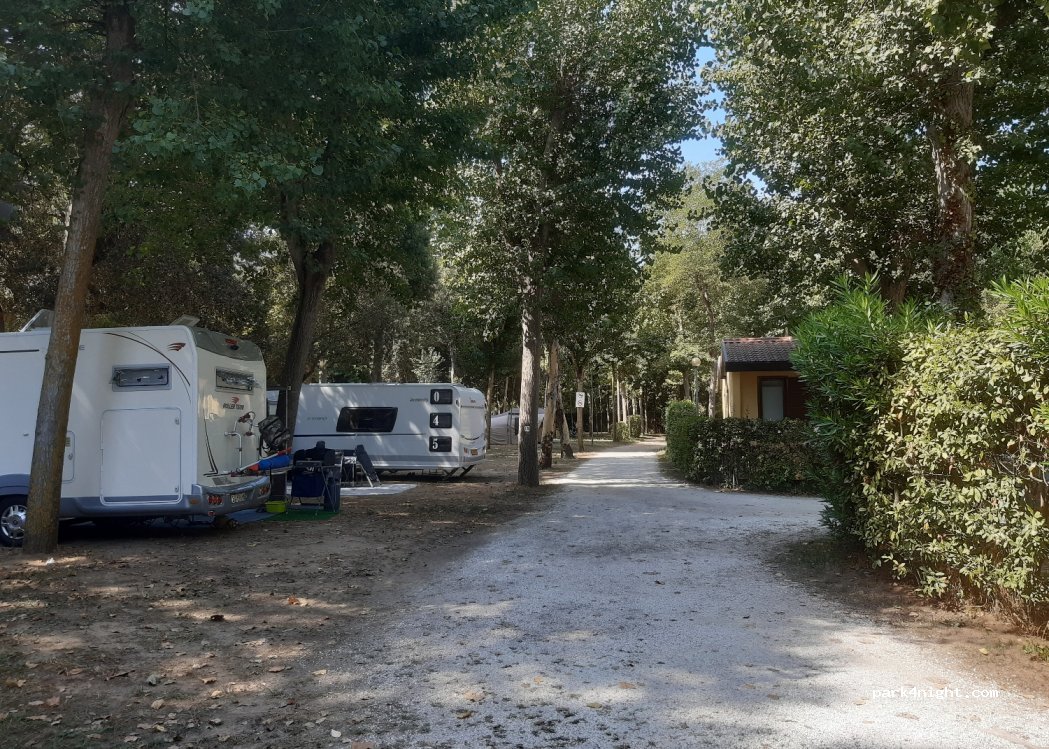 Camping Viareggio — foto 3