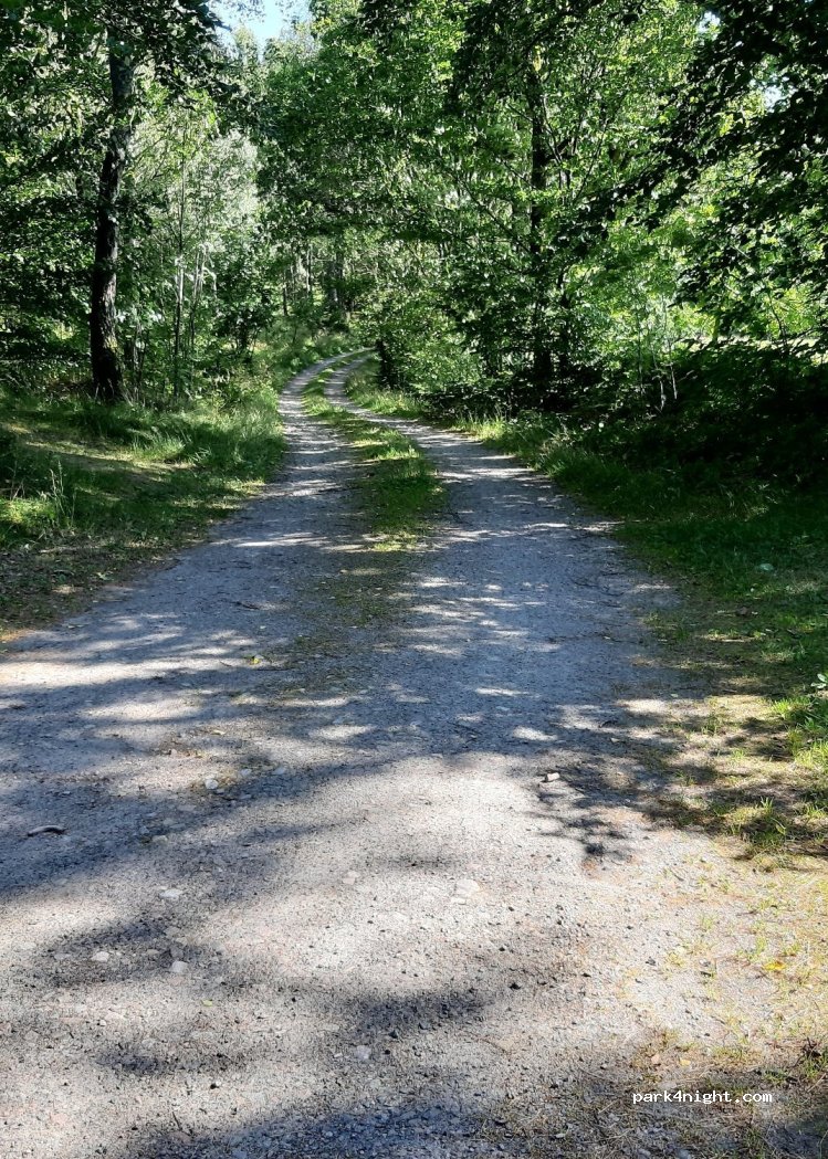 (282 94) Hörja - Unnamed Road — foto 2
