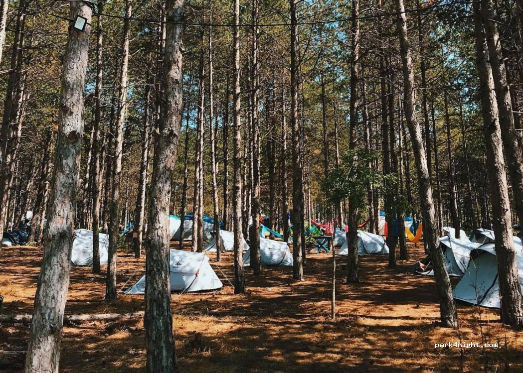 Offshore Camp — foto 2