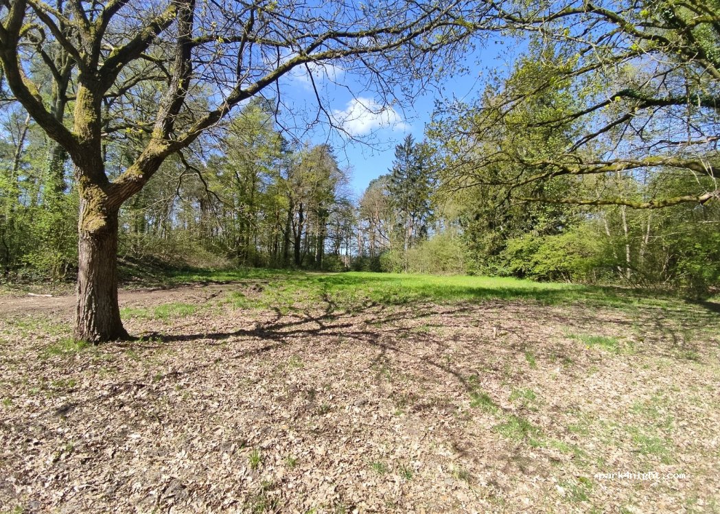 (29664) Osterheide - 20 Am Söhnholz — foto 2