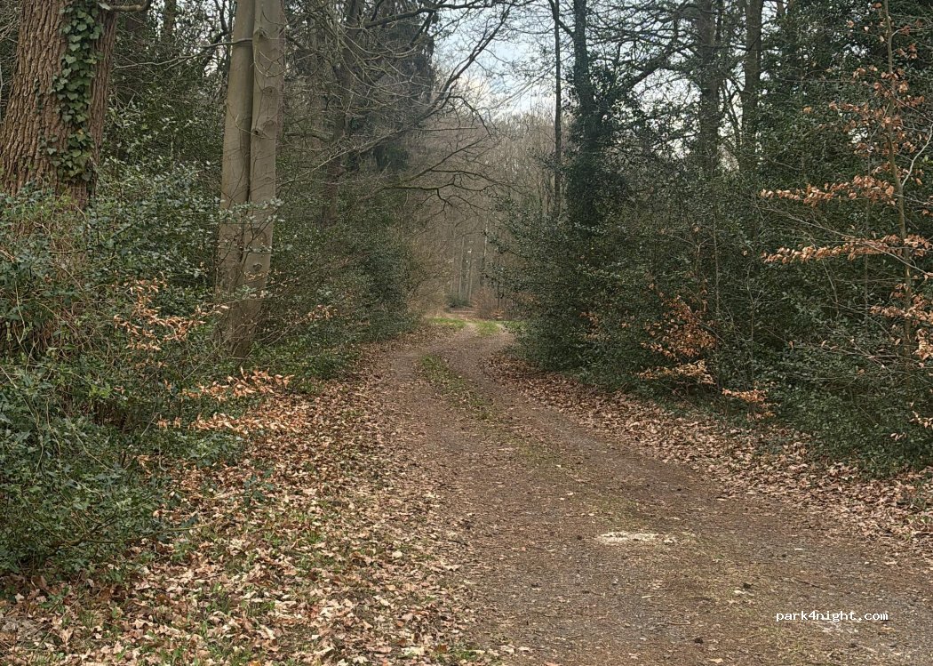 (29664) Osterheide - 20 Am Söhnholz — foto 5