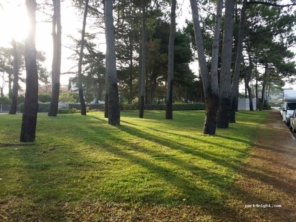 (40200) Mimizan - 1B Avenue du Courant — foto 2