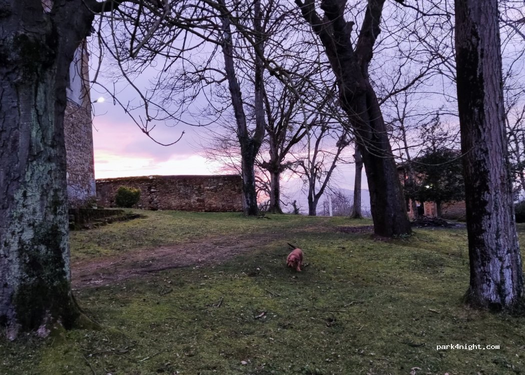 (33199) Tiñana - C. Fueyo — foto 3