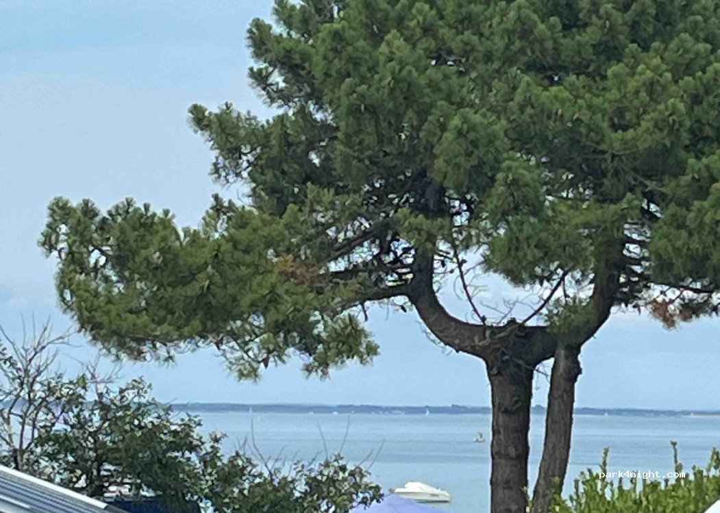 Camping Quiberon Beauséjour — foto 4