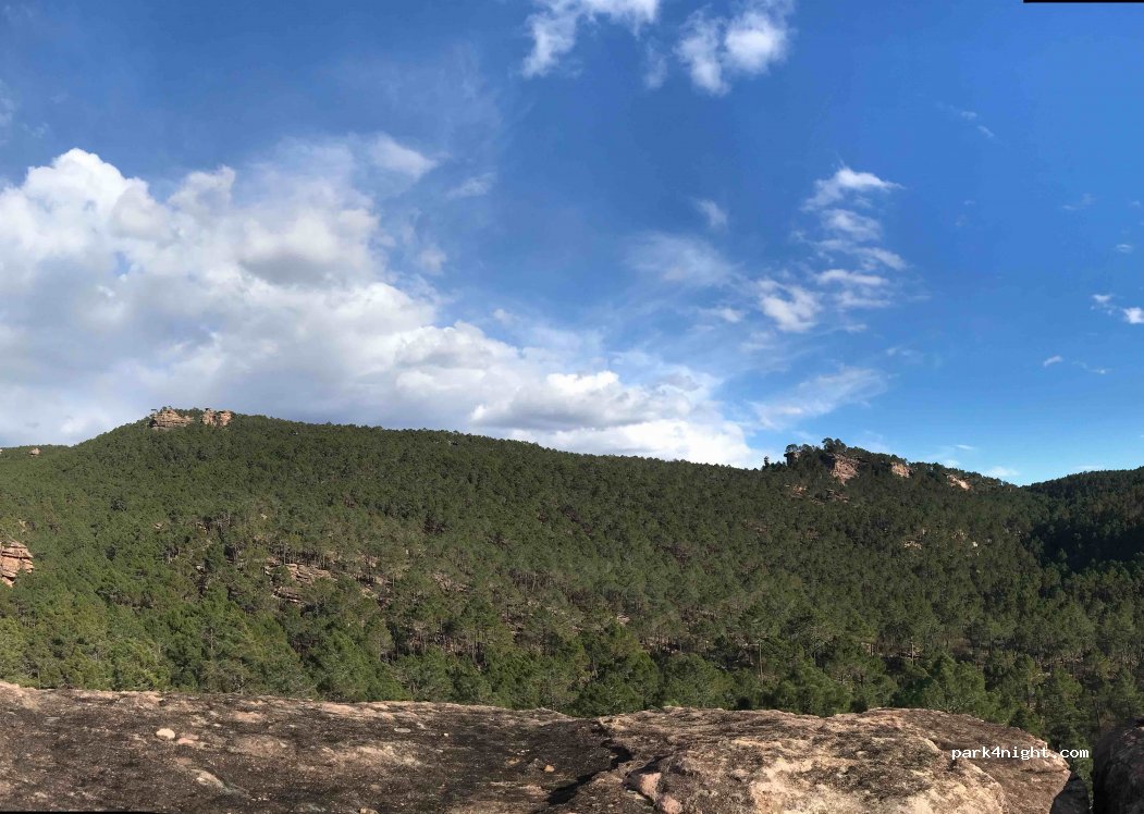 (16390) Pajaroncillo - Unnamed Road — foto