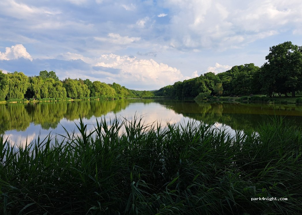 (2840) Oroszlány - Unnamed Road — foto 4