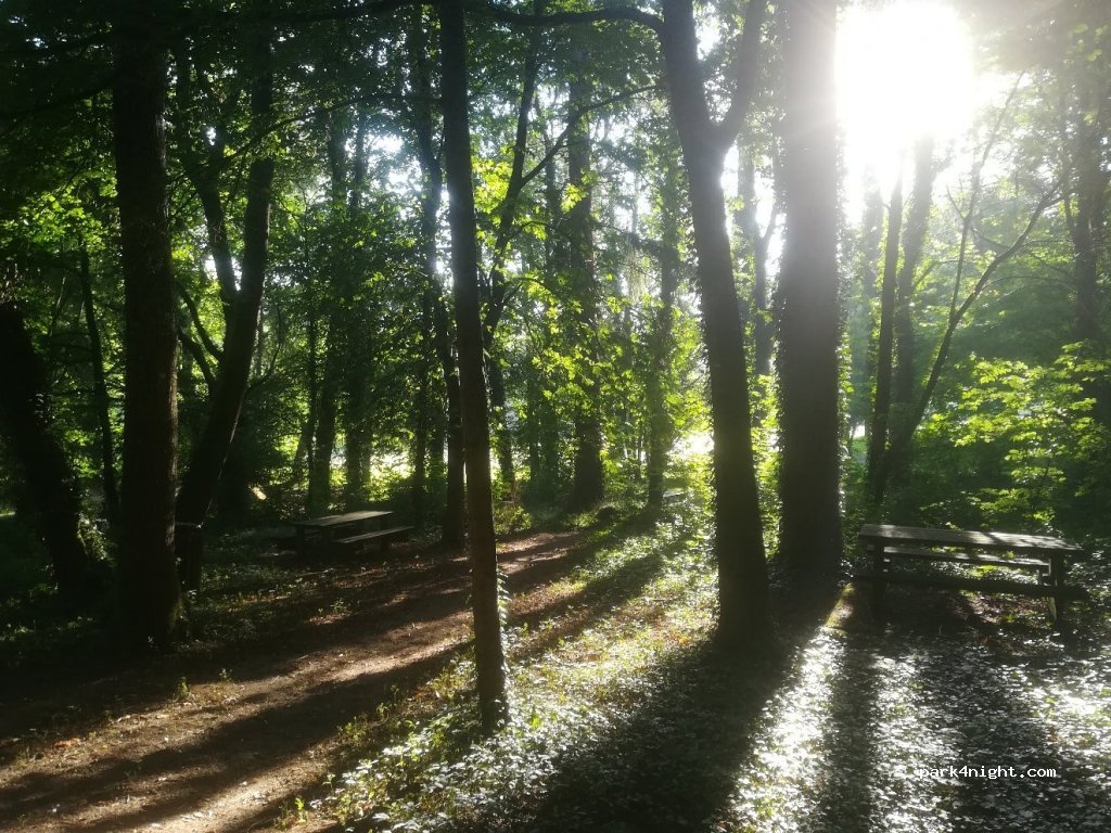 (85290) Saint-Laurent-sur-Sèvre - La Barbinière — foto