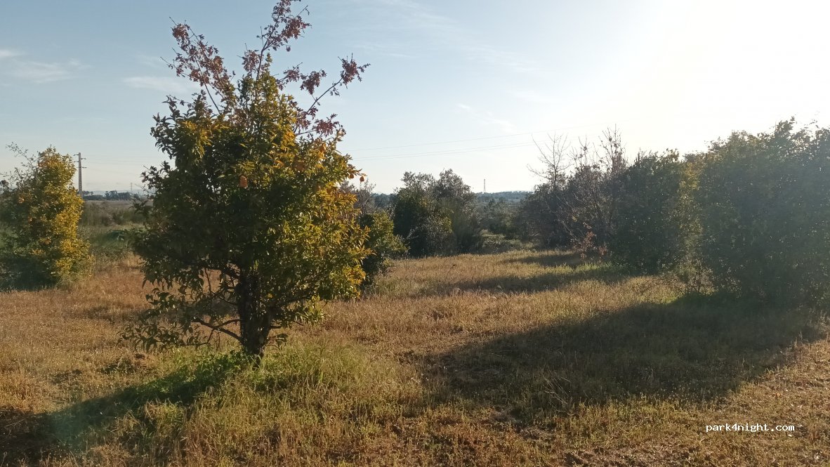geoSpot — foto