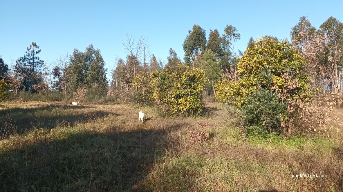 geoSpot — foto 3