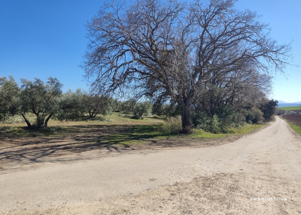 (11693) Alcalá del Valle - Cam. de Canos Santos — foto 3