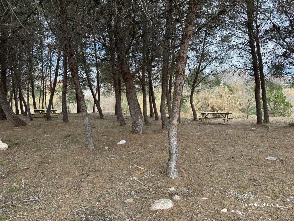 Les Coves de Vinromà — foto 3