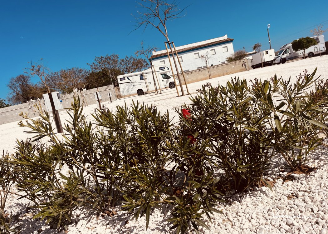 Área autocaravanas Camper Park conil renting — foto 4