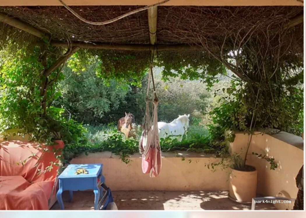 Narnia lodgings — foto