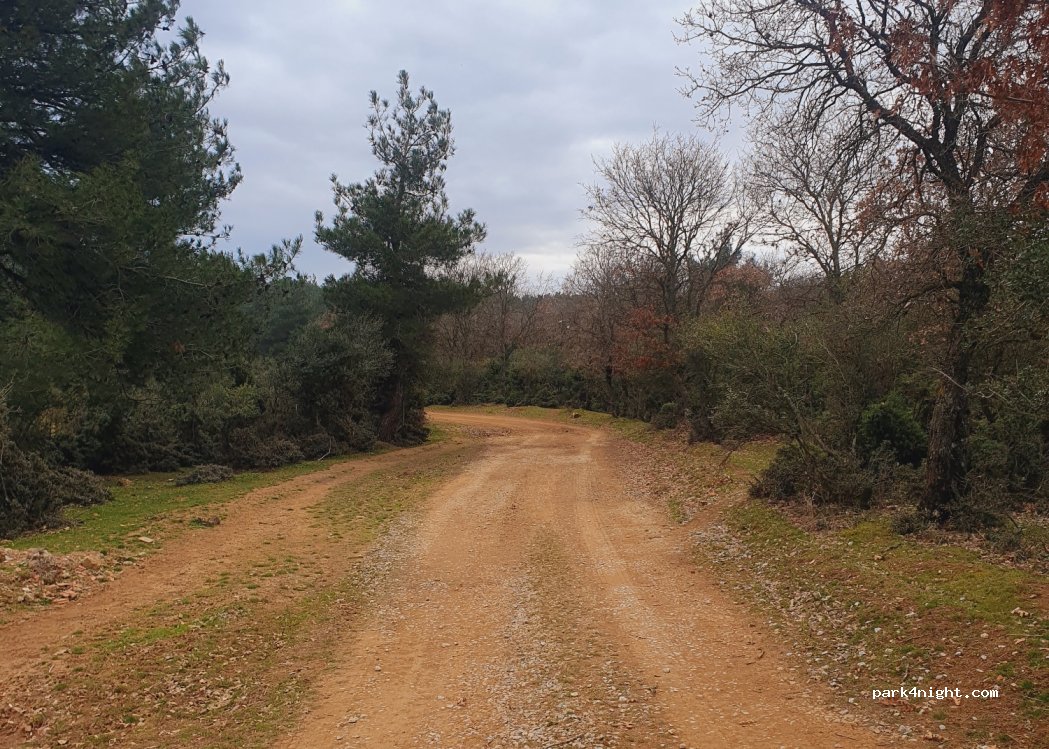 (10770) Soğanbükü - Unnamed road — foto