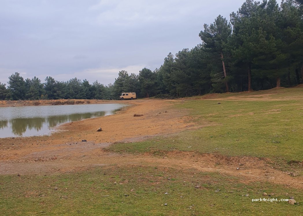 (10770) Soğanbükü - Unnamed road — foto 2