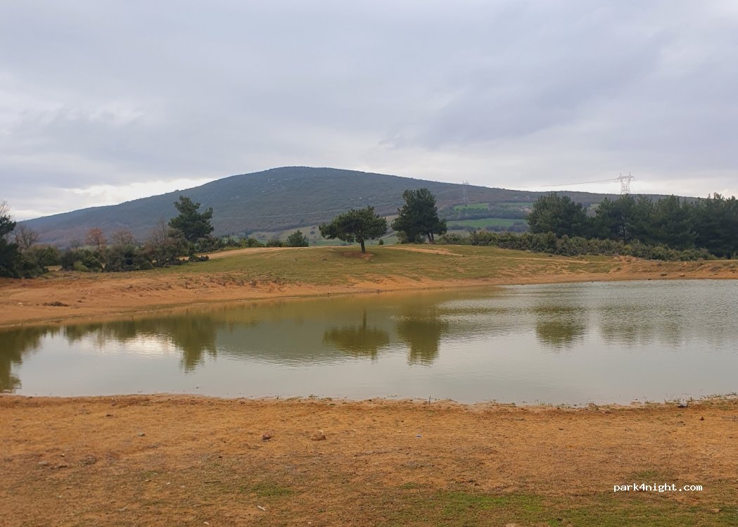 (10770) Soğanbükü - Unnamed road — foto 3