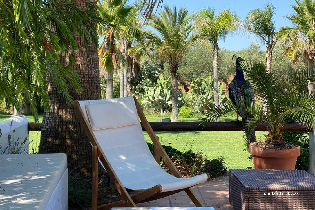 Oasis for Nature-, Animal-, Wine Lovers & Digital Nomads — foto 3