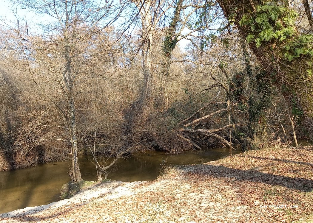 (40110) Villenave - Rte des Vignes — foto