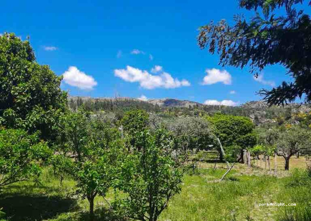 Quinta do Vale Verde — foto