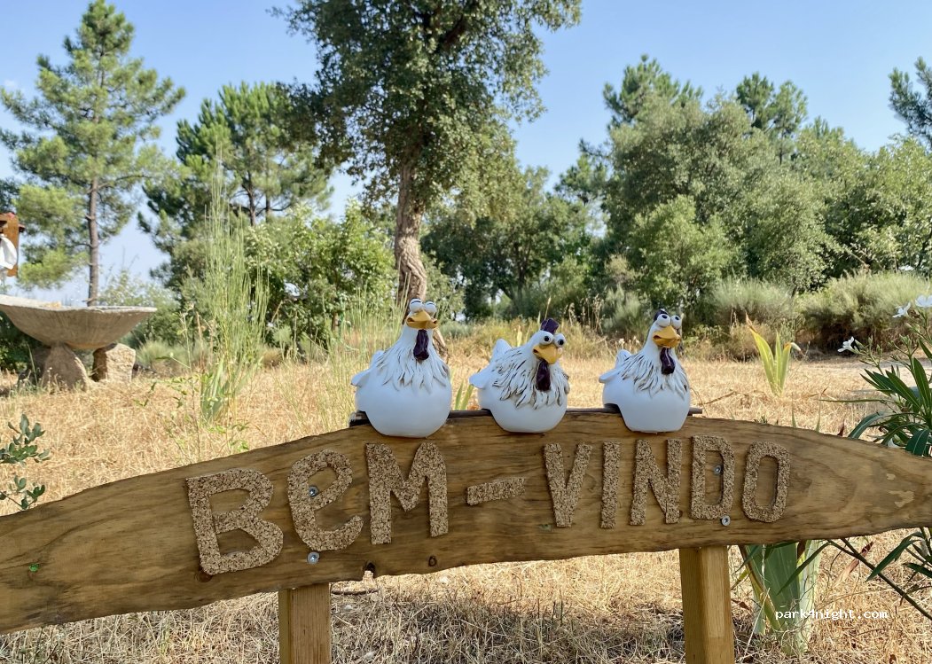 Quinta do Vale Verde — foto 5