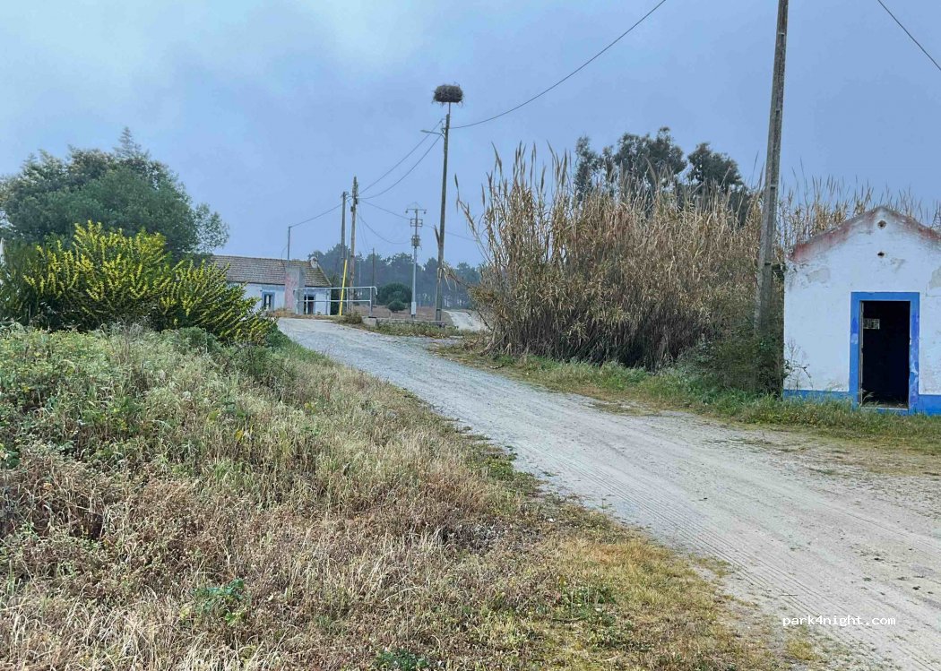 (7580) Comporta - — foto 2
