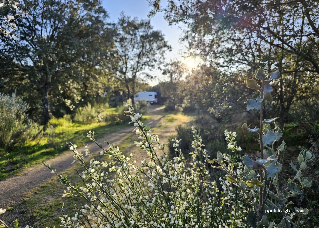 Quinta da Bela Pedra — foto 3