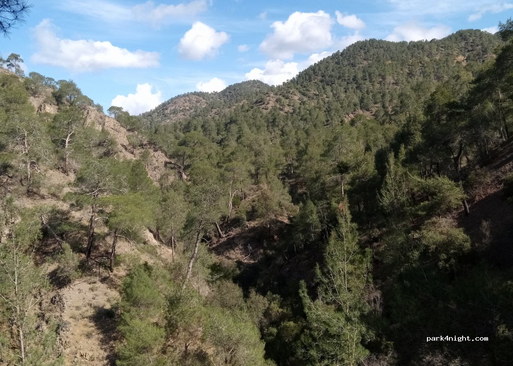 (6319) Melandra - Unnamed Road — foto