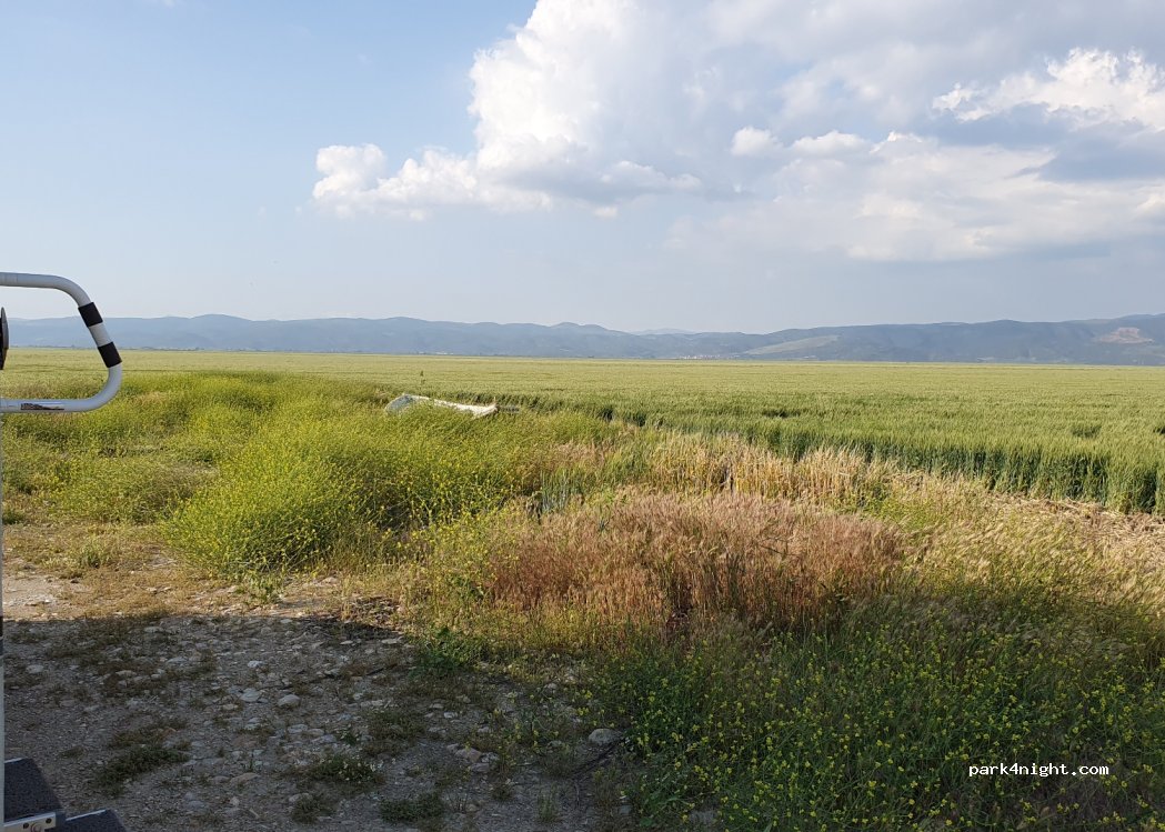 (45320) Tekelioğlu - — foto 3