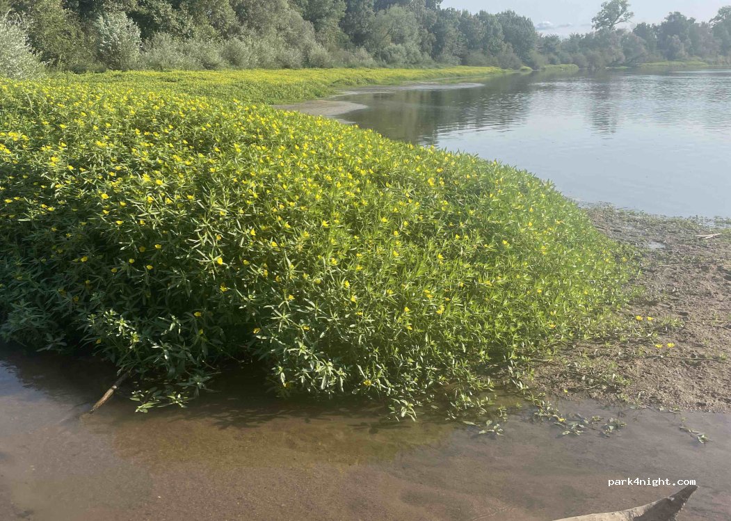 (58300) Saint-Hilaire-Fontaine - 2 Chemin de la Levée de la Loire — foto 3